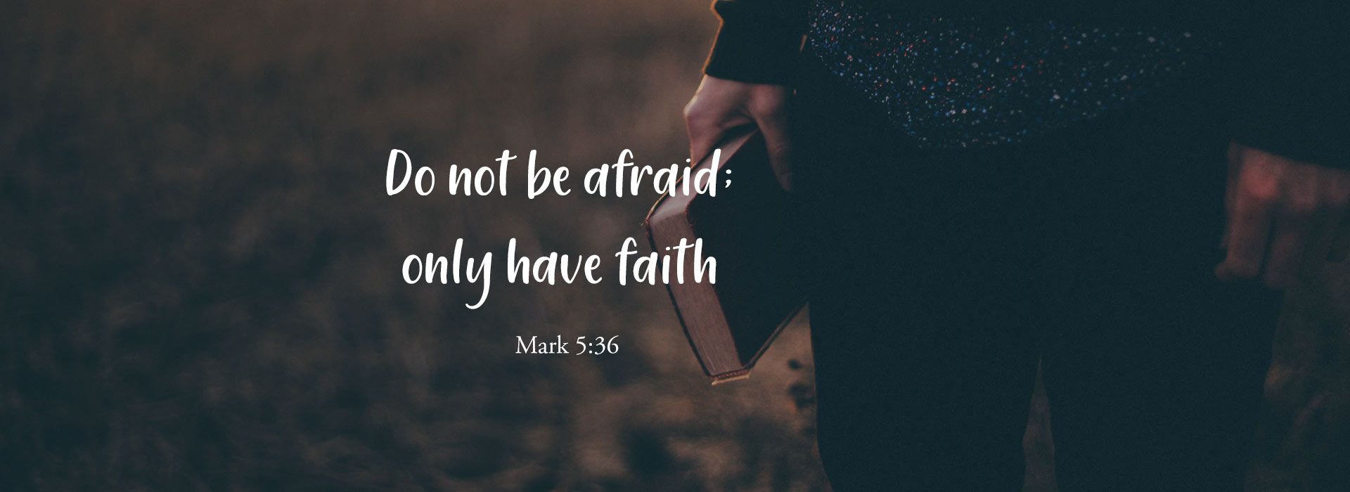 Banner Image 6 For 13th Sunday In Ordinary Time