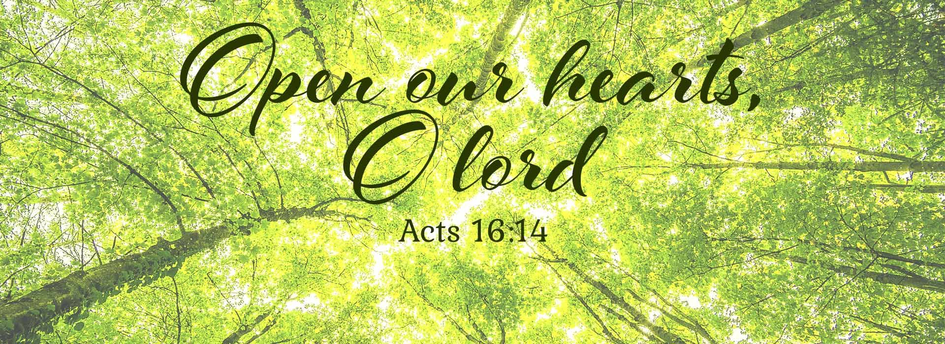 Banner Image 1 For 16th Sunday in ordinary Time