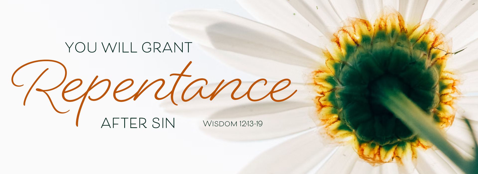 Banner Image 10 For 16th Sunday in ordinary Time