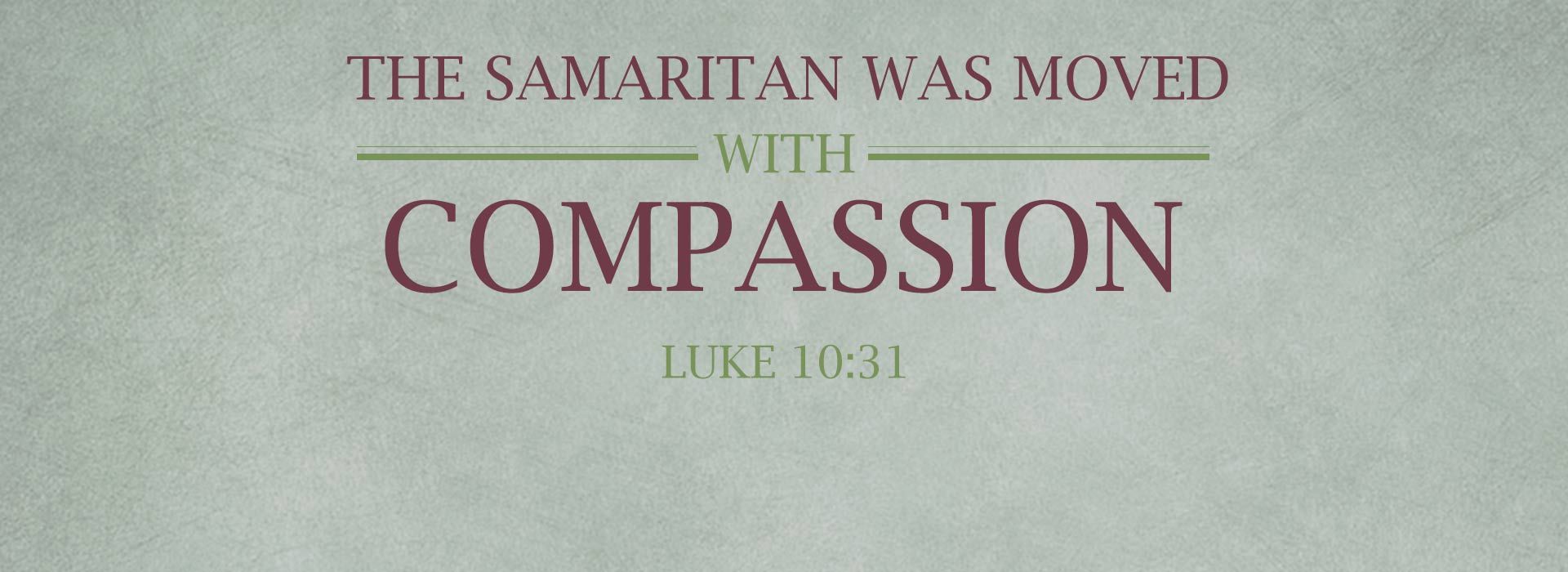 Banner Image 2 For 15th Sunday in ordinary Time