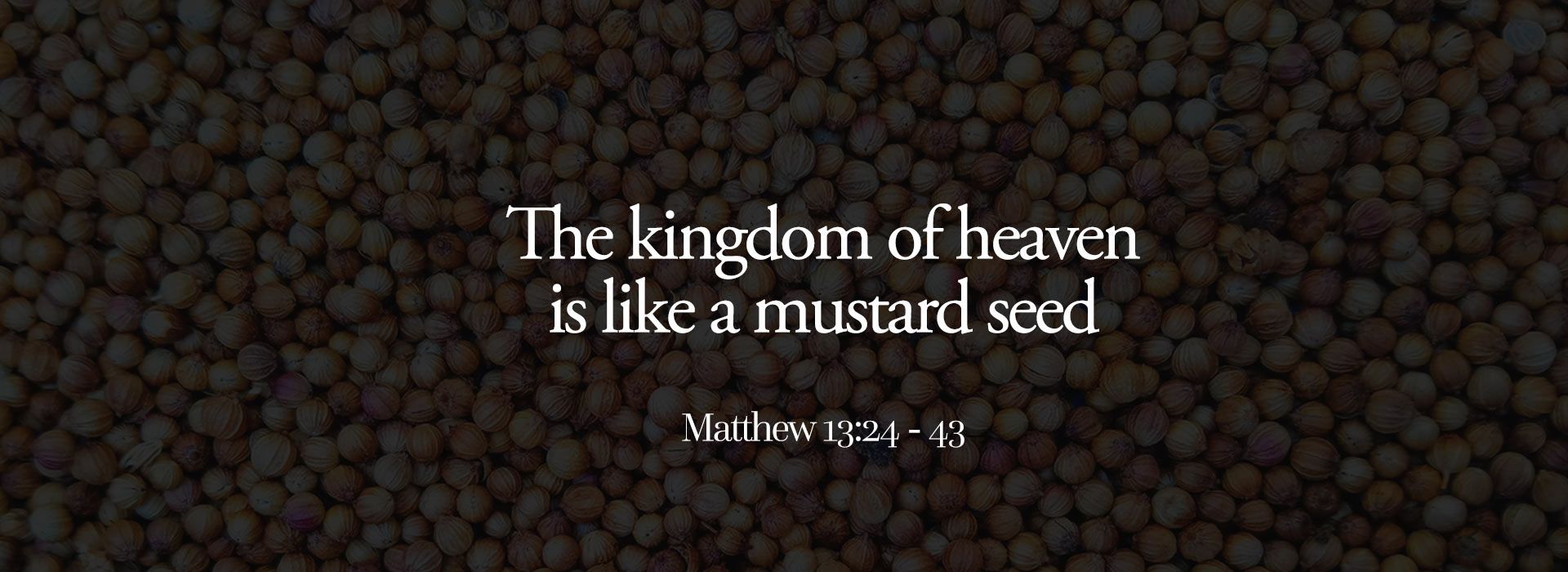 Banner Image 3 For 16th Sunday in ordinary Time