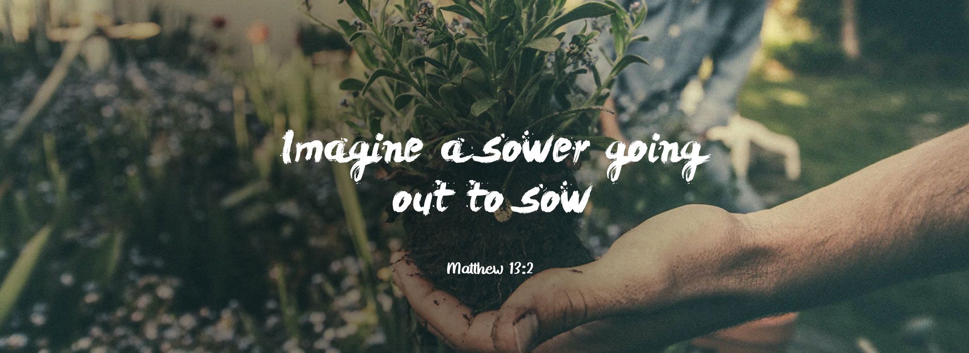 Banner Image 5 For 15th Sunday in ordinary Time