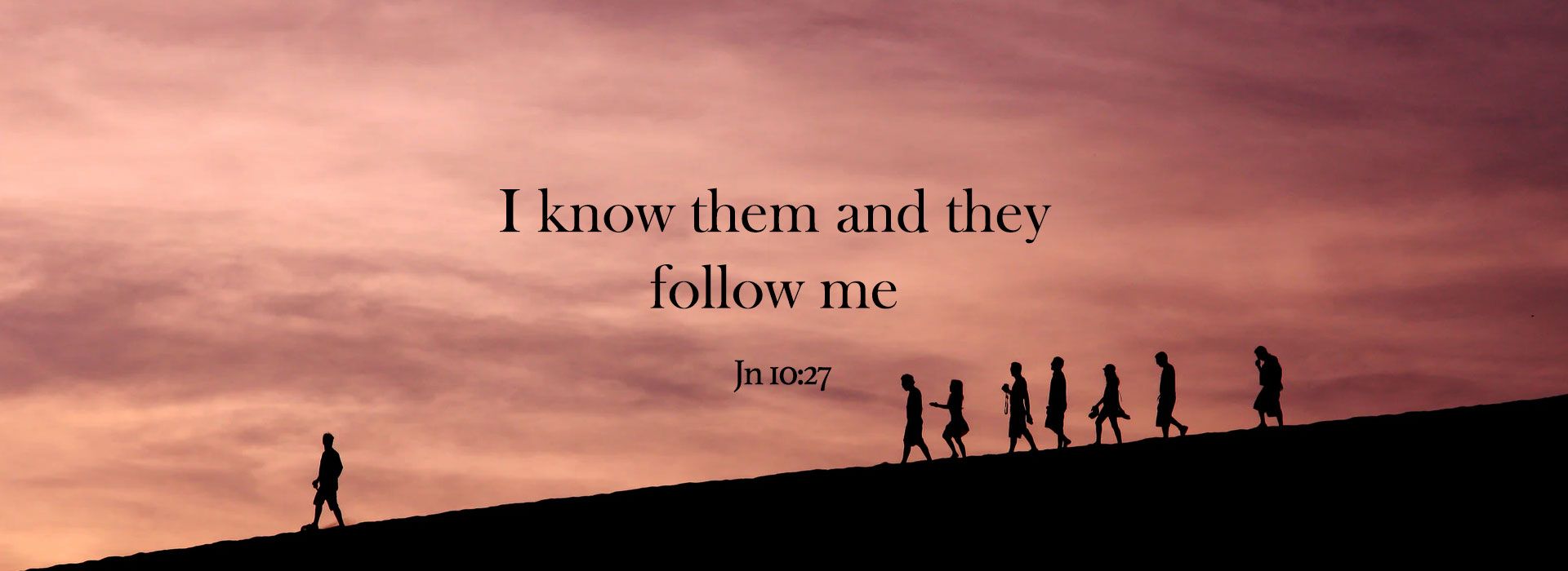 Banner Image 6 For 16th Sunday in ordinary Time
