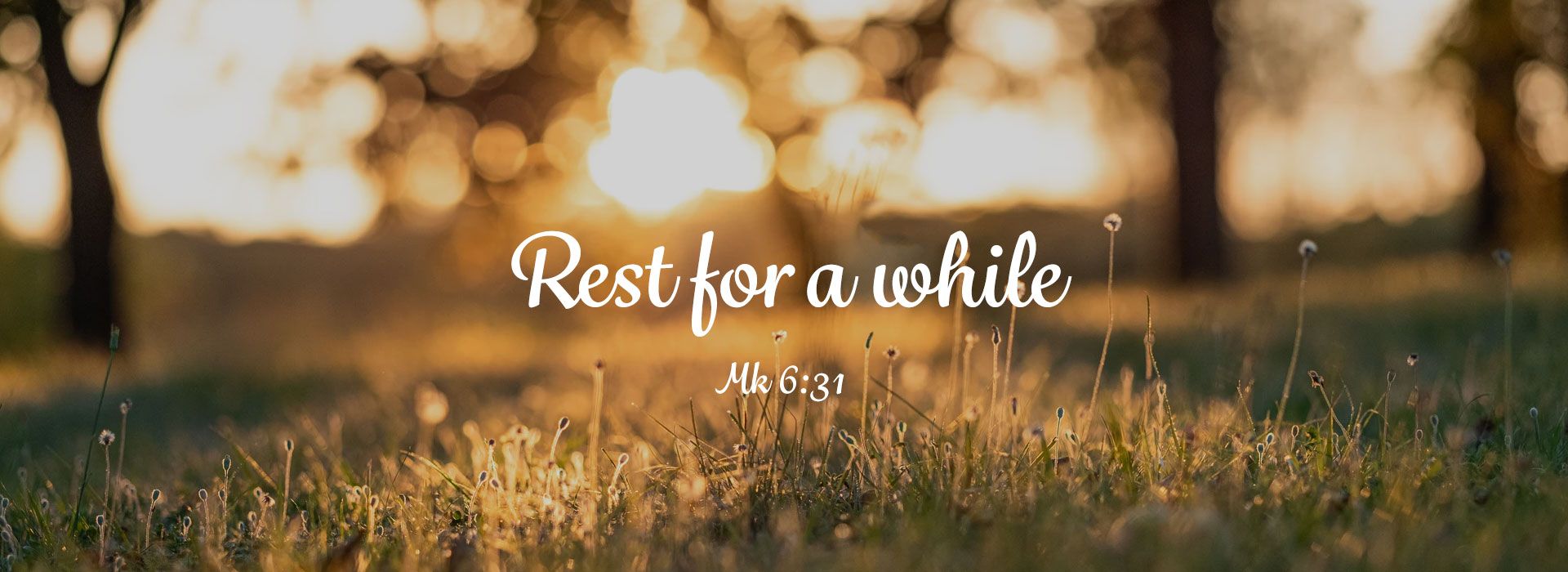 Banner Image 7 For 16th Sunday in ordinary Time