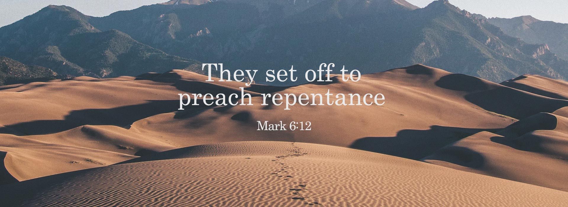 Banner Image 8 For 15th Sunday in ordinary Time