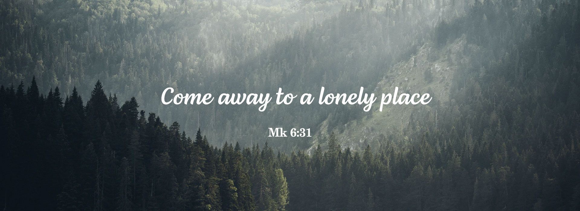 Banner Image 8 For 16th Sunday in ordinary Time