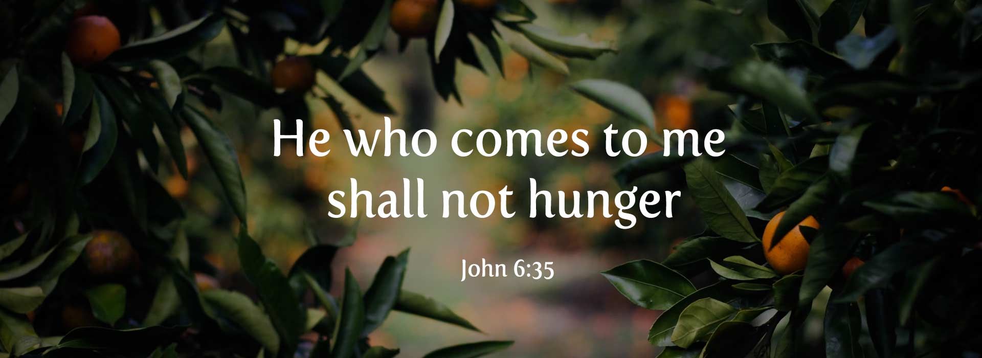 Banner Image 1 For 18th Sunday In Ordinary Time