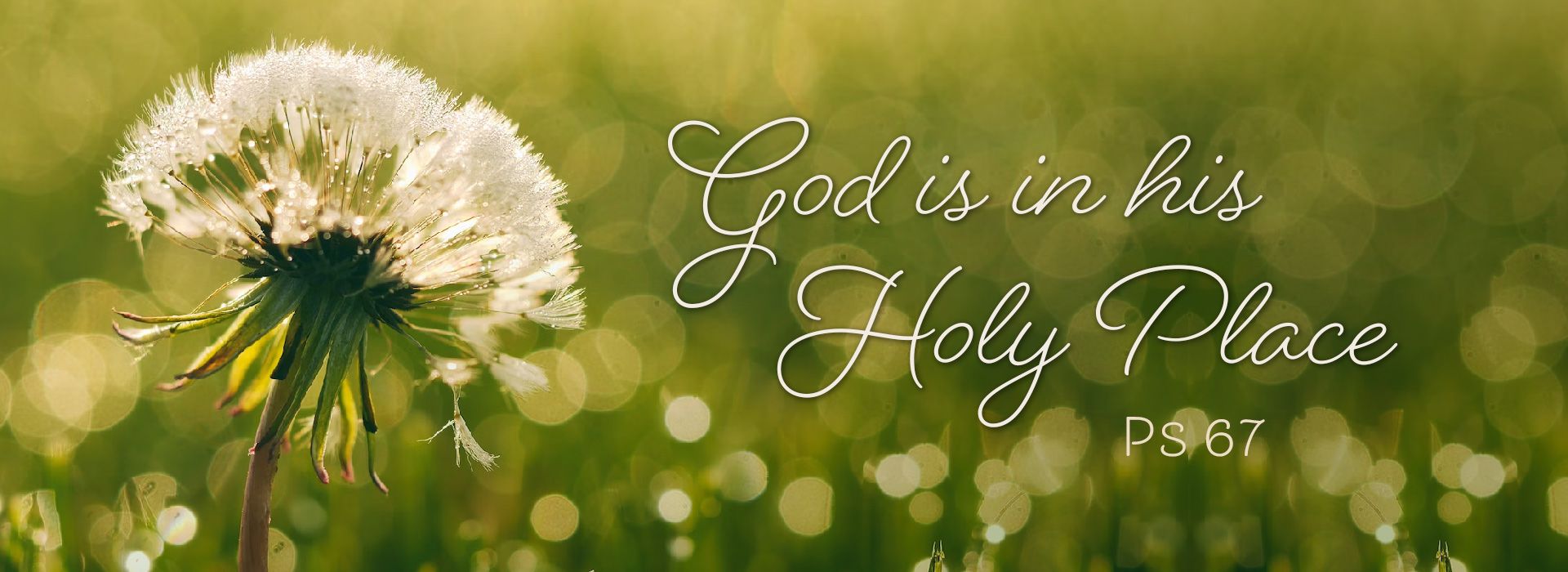 Banner Image 10 For 17th Sunday In Ordinary Time