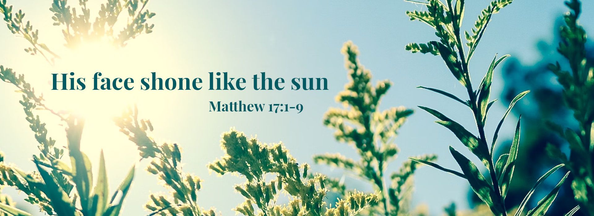 Banner Image 10 For 18th Sunday In Ordinary Time