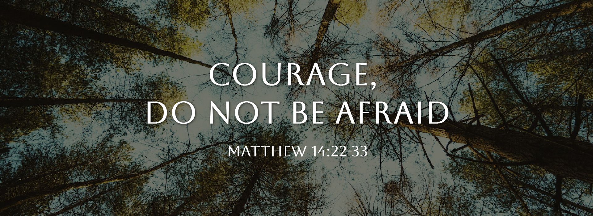 Banner Image 10 For 19th Sunday In Ordinary Time