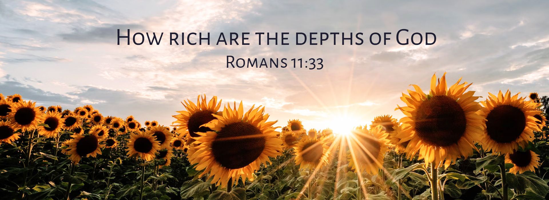Banner Image 11 For 21st Sunday In Ordinary Time