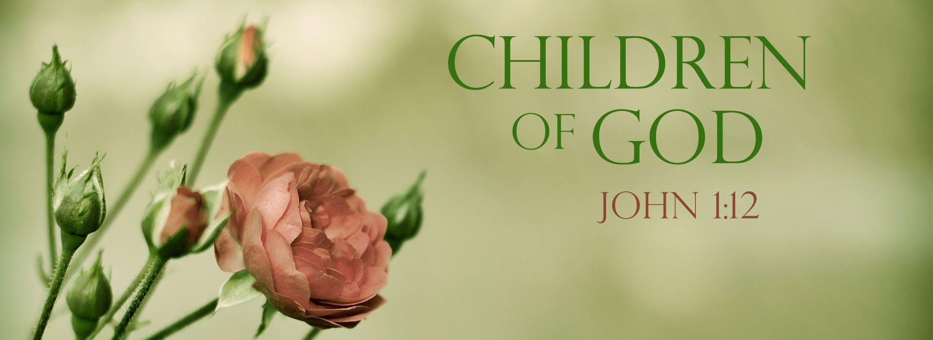 Banner Image 2 For 17th Sunday In Ordinary Time