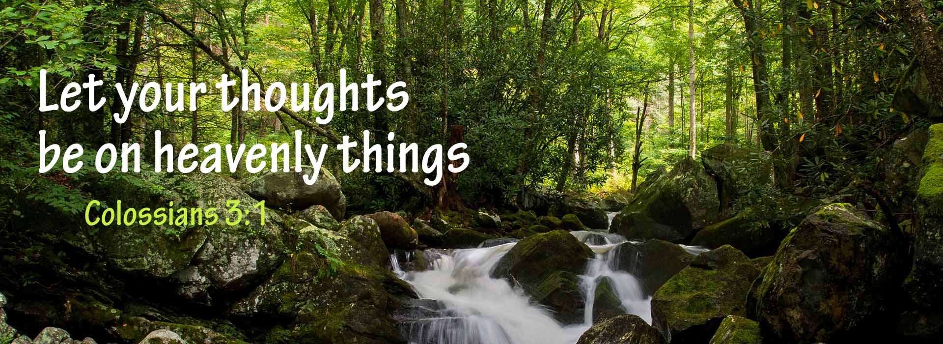 Banner Image 2 For 18th Sunday In Ordinary Time