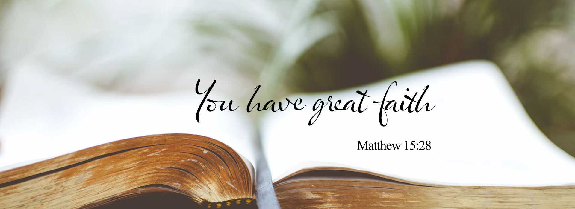 Banner Image 3 For 20th Sunday In Ordinary Time