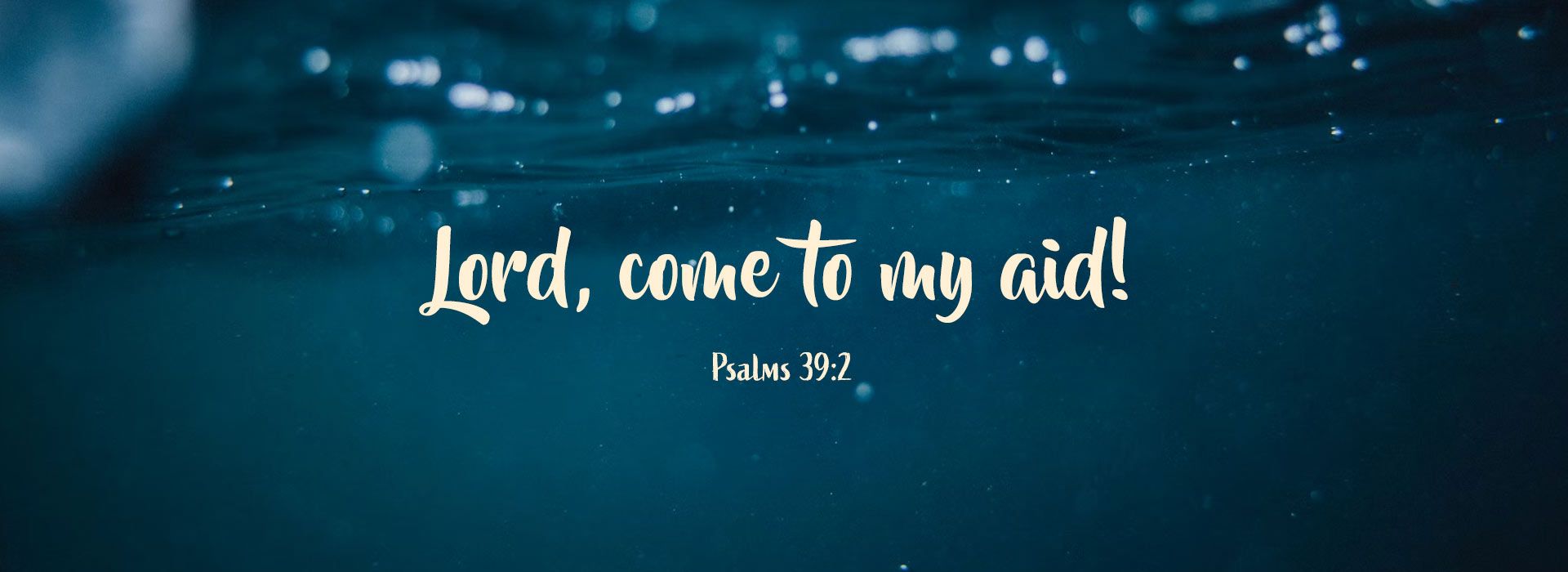 Banner Image 5 For 20th Sunday In Ordinary Time
