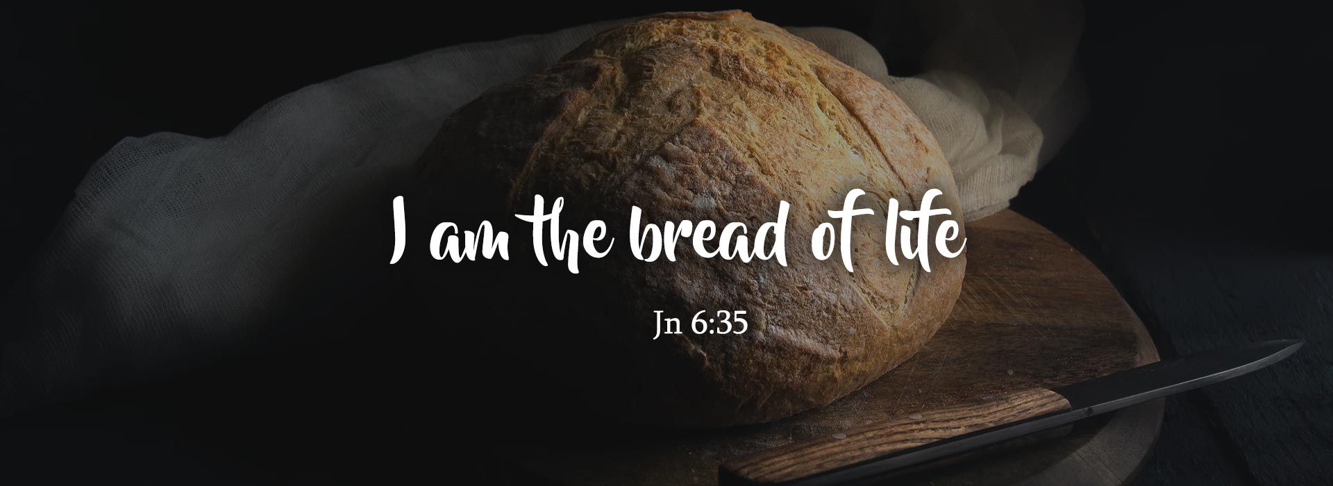 Banner Image 7 For 18th Sunday In Ordinary Time