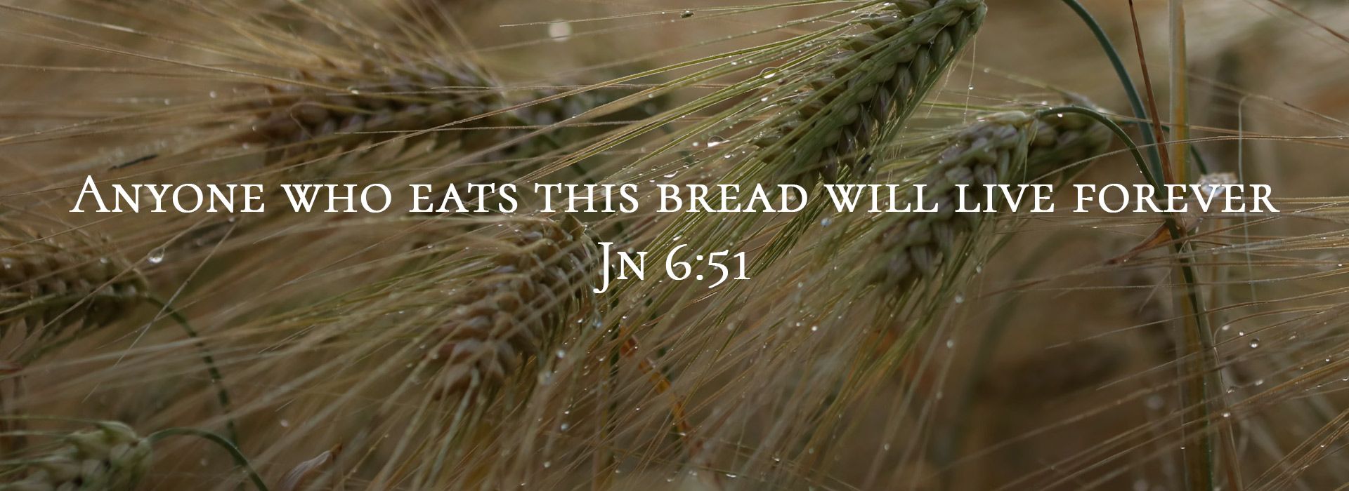 Banner Image 7 For 20th Sunday In Ordinary Time