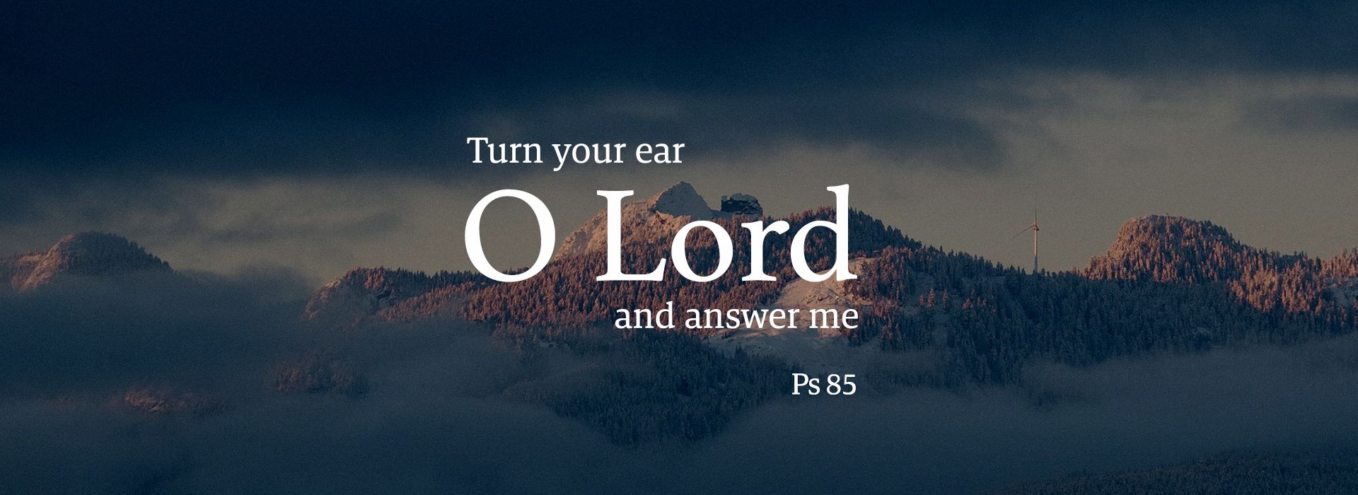 Banner Image 7 For 21st Sunday In Ordinary Time