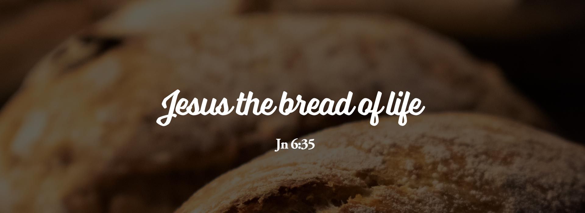 Banner Image 8 For 18th Sunday In Ordinary Time