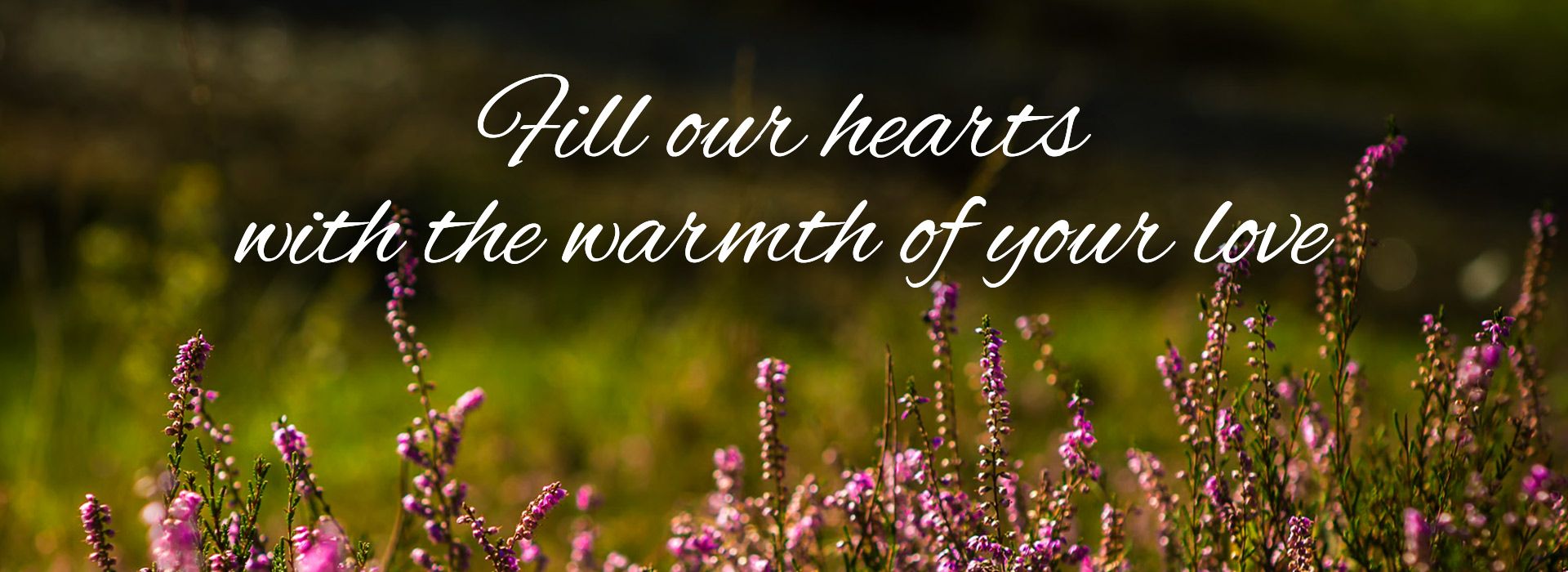 Banner Image 8 For 20th Sunday In Ordinary Time