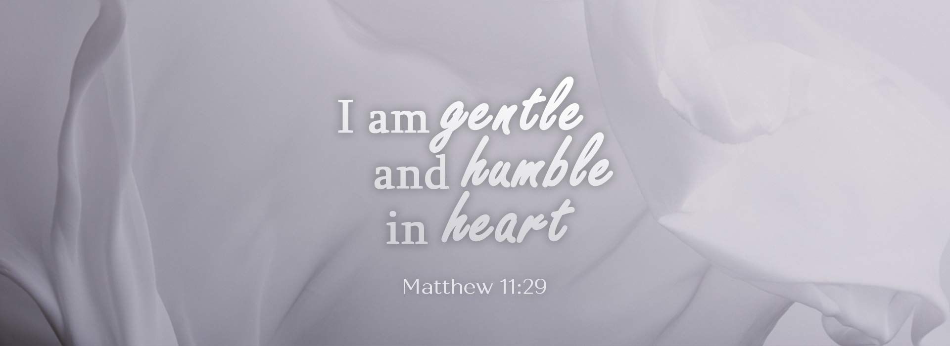 Banner Image 8 For 22nd Sunday In Ordinary Time