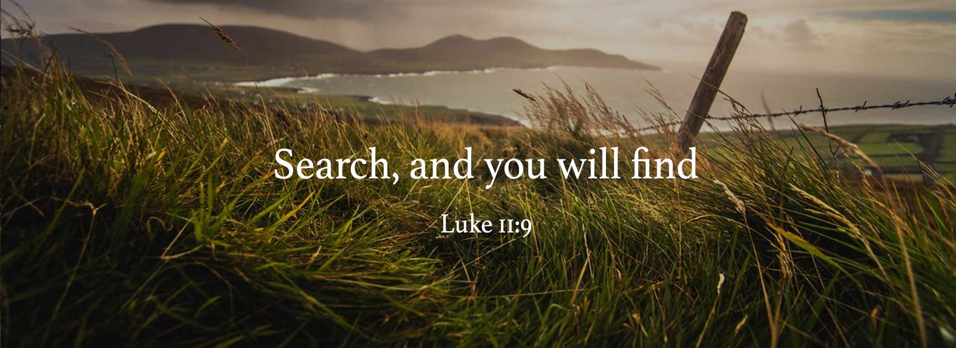 Banner Image 9 For 17th Sunday In Ordinary Time