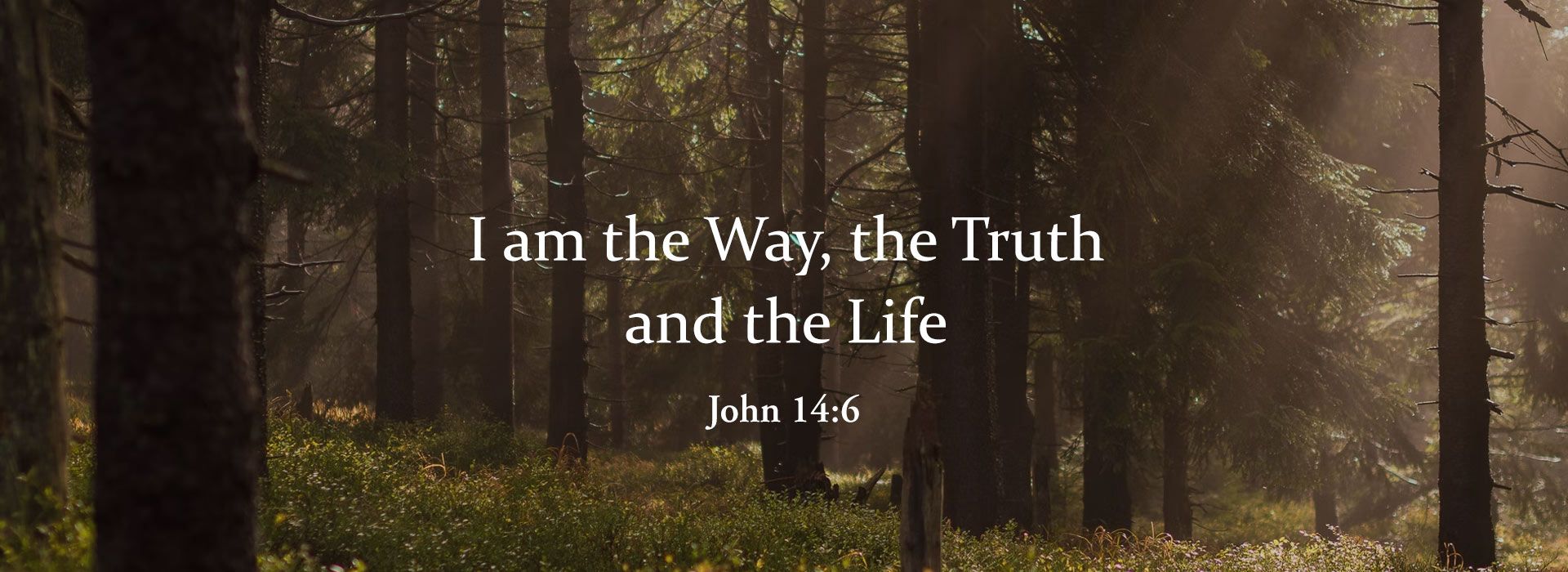 Banner Image 9 For 21st Sunday In Ordinary Time