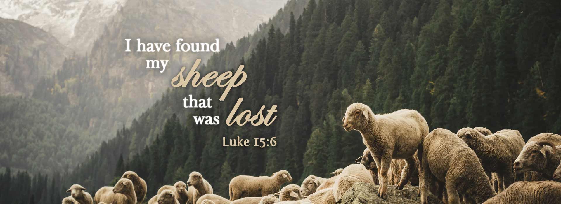 Banner Image 3 For 24th Sunday In Ordinary Time