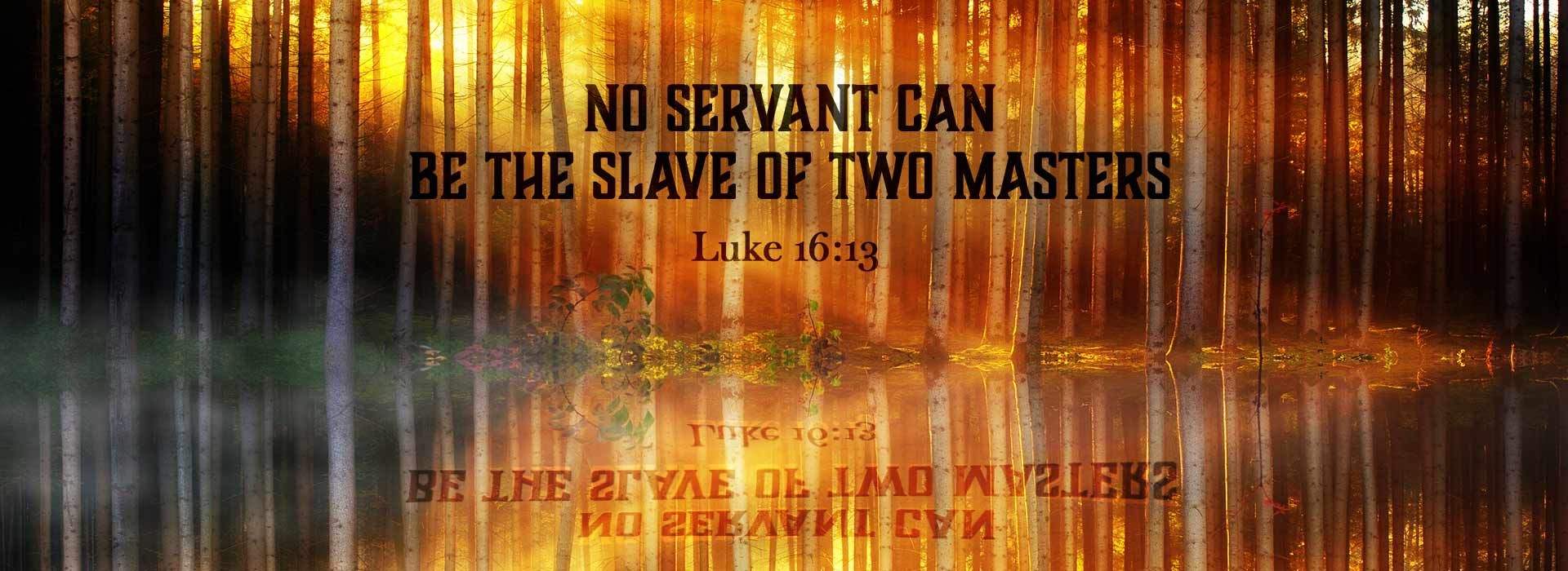 Banner Image 3 For 25th Sunday In Ordinary Time