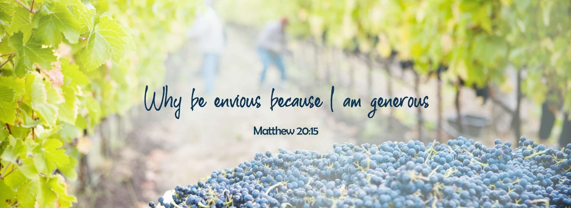 Banner Image 4 For 25th Sunday In Ordinary Time 26