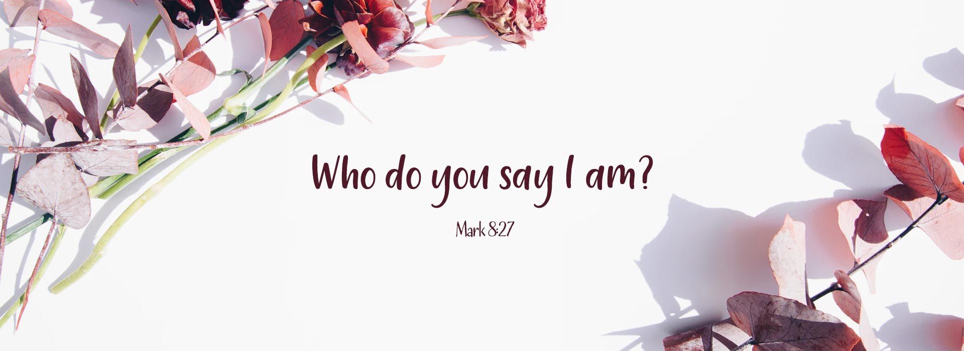 Banner Image 6 For 24th Sunday In Ordinary Time