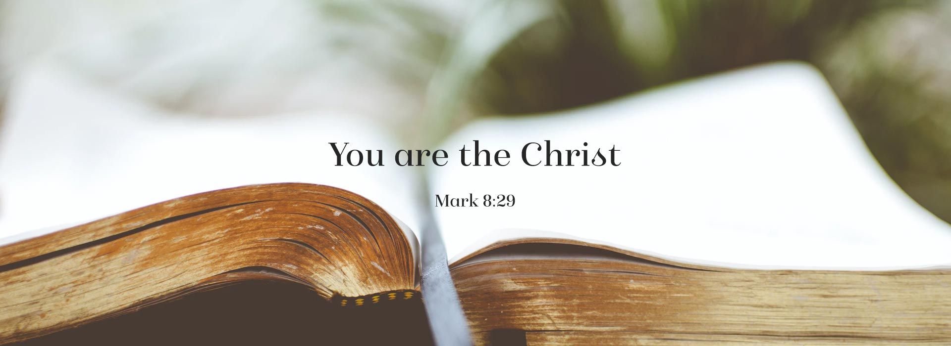 Banner Image 7 For 24th Sunday In Ordinary Time