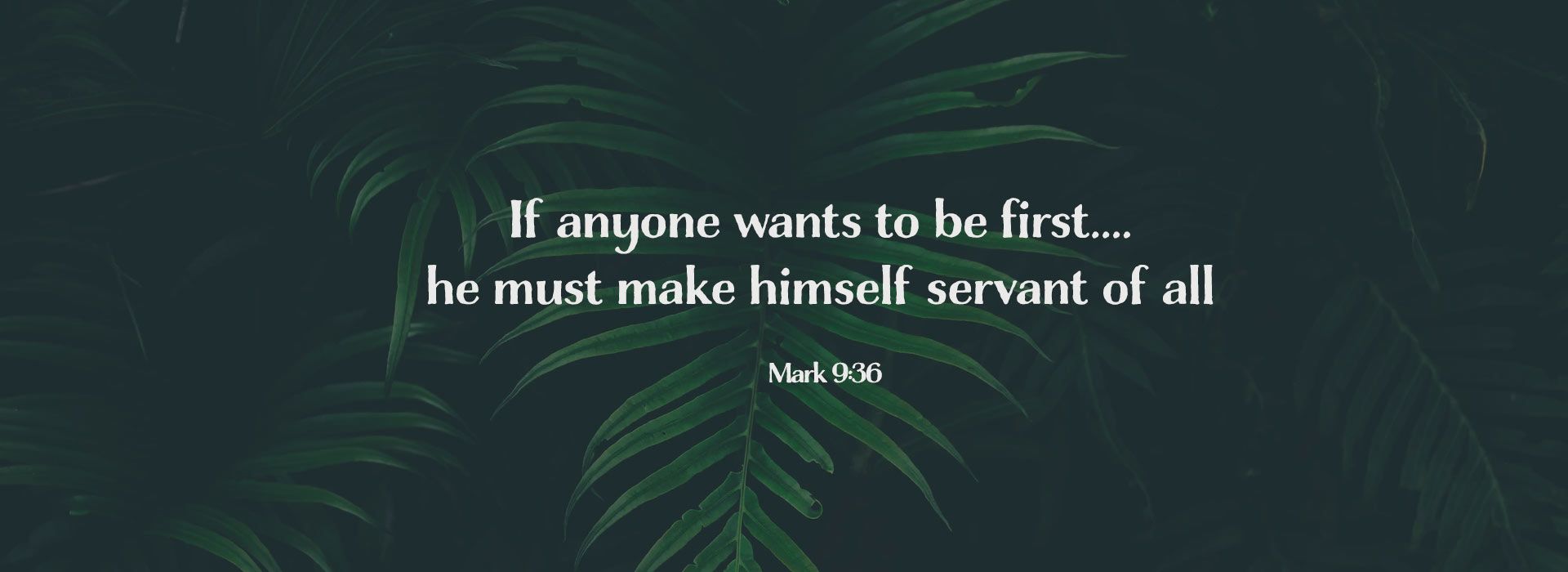 Banner Image 8 For 25th Sunday In Ordinary Time