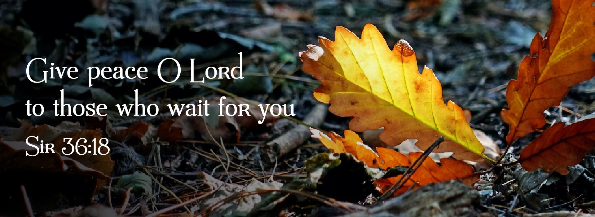 Banner Image 9 For 24th Sunday In Ordinary Time