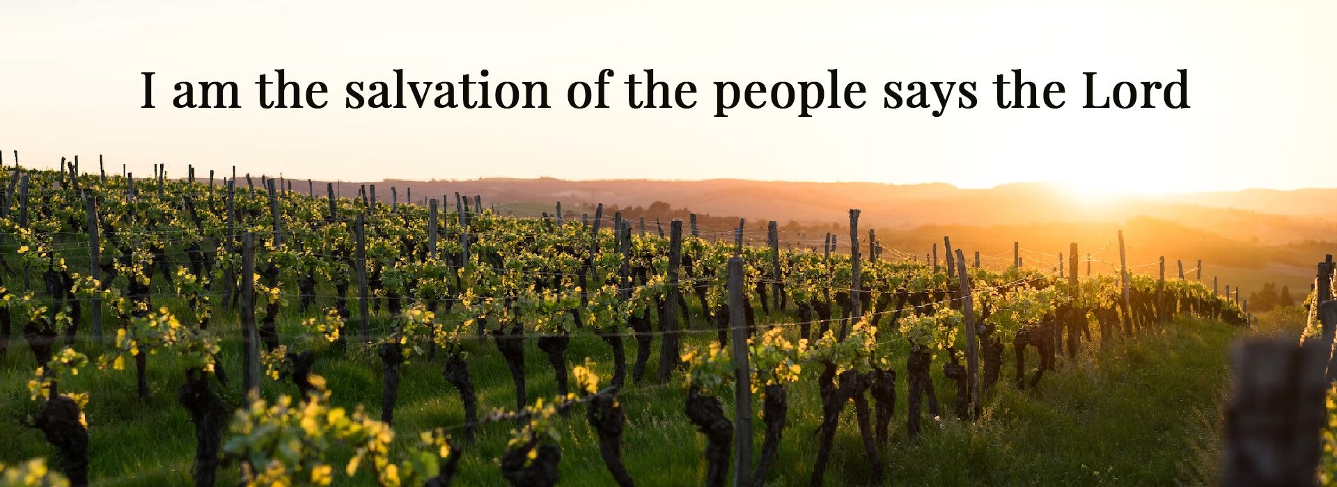 Banner Image 9 For 25th Sunday In Ordinary Time 26
