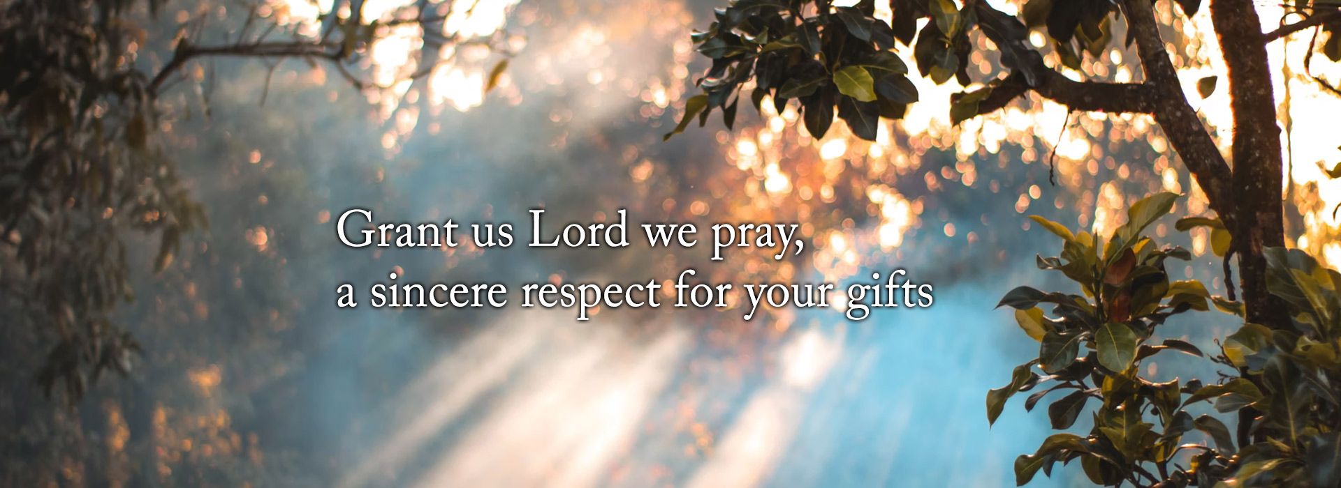 Banner Image 9 For 29th Sunday In Ordinary Time(Mission Sunday)
