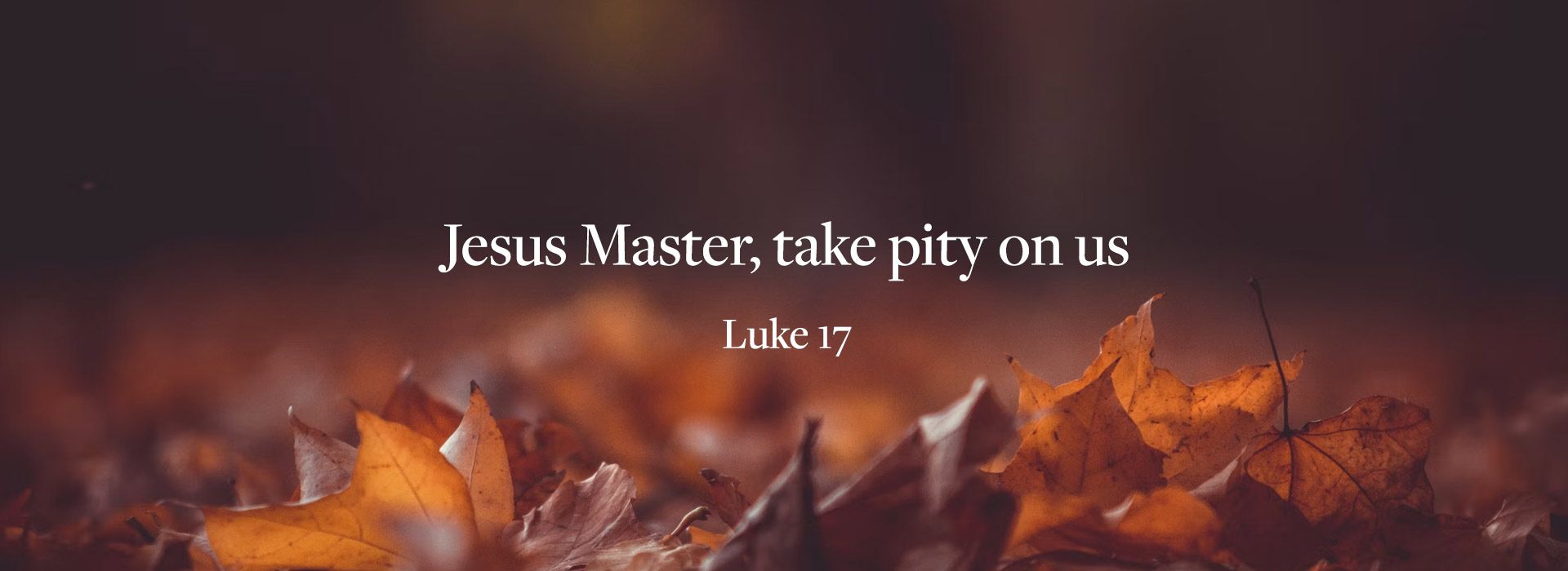 Banner Image 10 For 28th Sunday In Ordinary Time 26