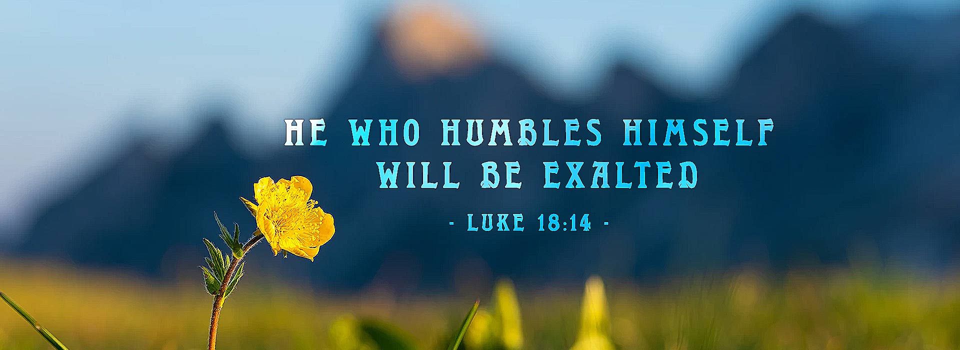 Banner Image 2 For 30th Sunday In Ordinary Time 26