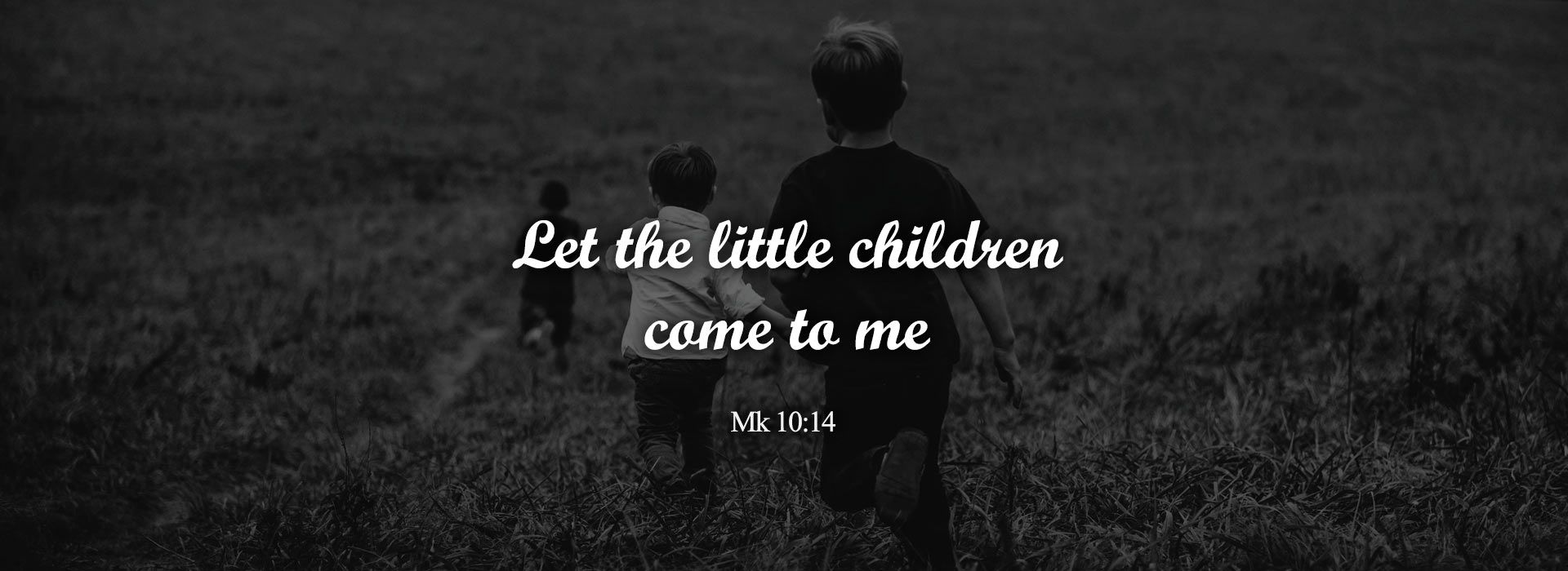 Banner Image 5 For 27th Sunday In Ordinary Time 26