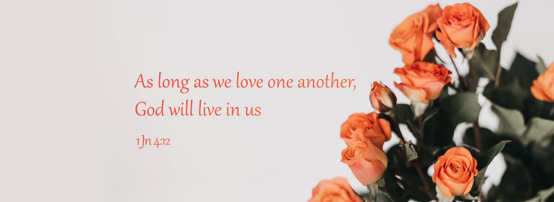 Banner Image 6 For 27th Sunday In Ordinary Time 26